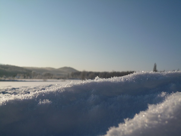 富良野雪野原6