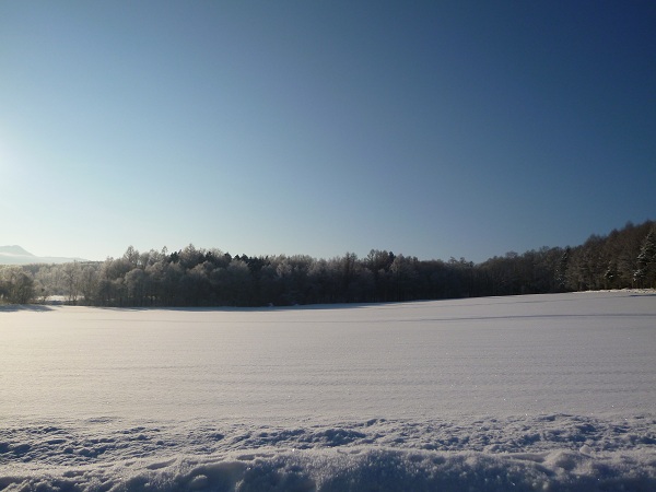 富良野雪野原7