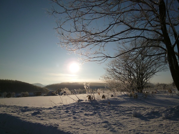 富良野雪野原3