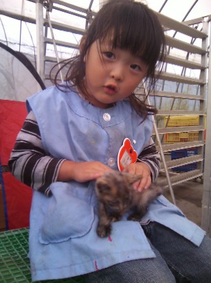 子猫と小粋.jpg