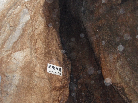 龍河洞オーブ