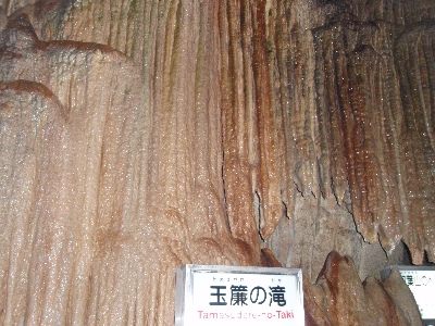 高知龍河洞３