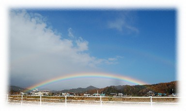 よ～く見ると、上のほうにもうひとつ！