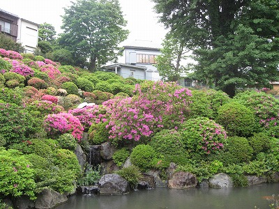 090505湯島根津 066.jpg