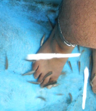 0905 008.jpg