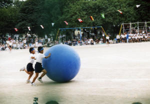 img013_1.jpg