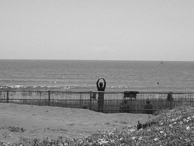 茅ヶ崎　浜須賀方面のサイクリングロードから