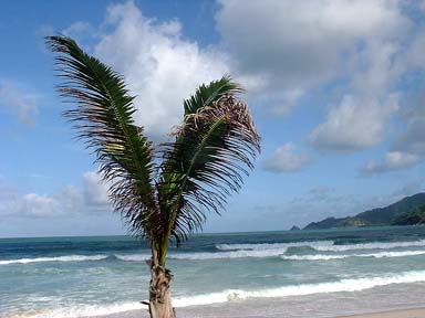 Patong-Kalim Beach, Phuket Thailand