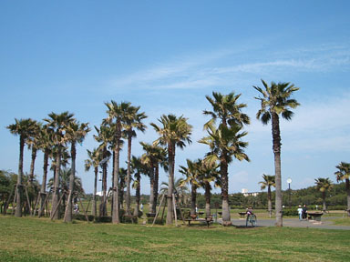 辻堂海浜公園