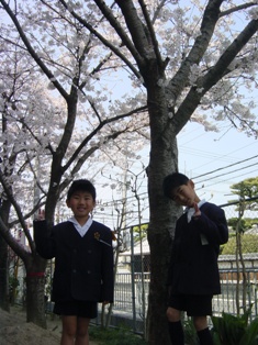 blog132