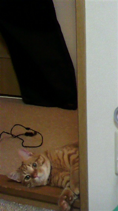 P1010028 - コピー.JPG