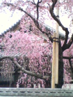 2008-03-23 21:03:50