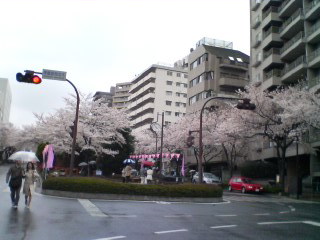 2008-03-30 21:36:04