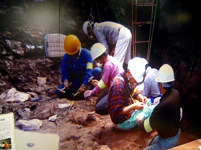 篠山の発掘現場