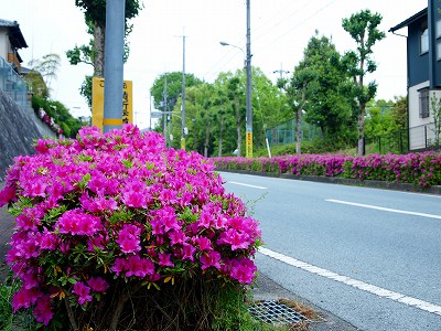 友が丘の写真スポット