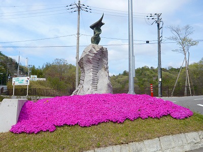 城山公園のシバザクラ