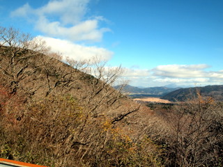 山林風景