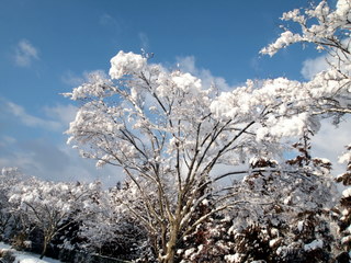 雪と青空