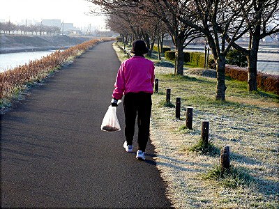 土筆取り