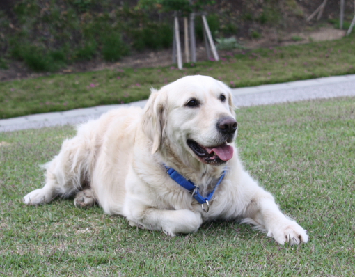 2008.05.06 072B.JPG