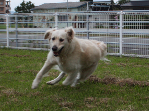 2008.07.3 045B.JPG