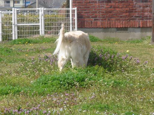 画像2008.3.22 014.jpg
