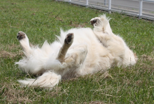 2008.07.19 008B.JPG