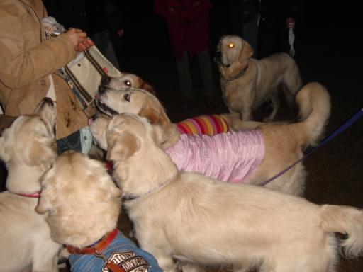 画像2007.12.23  クリスマス会 055.jpg