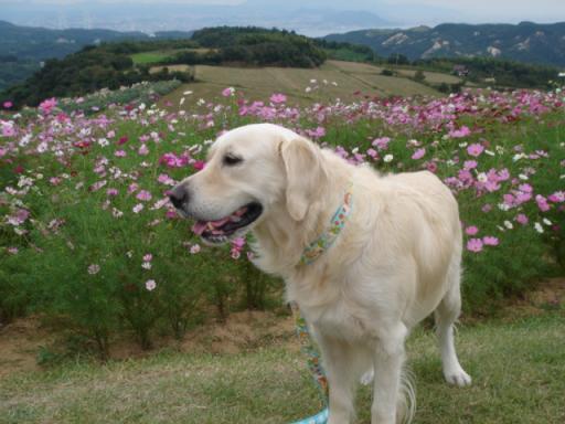 画像2007.10.14 078.jpg