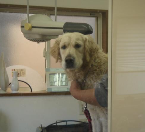 画像2008.2.6 035.jpg