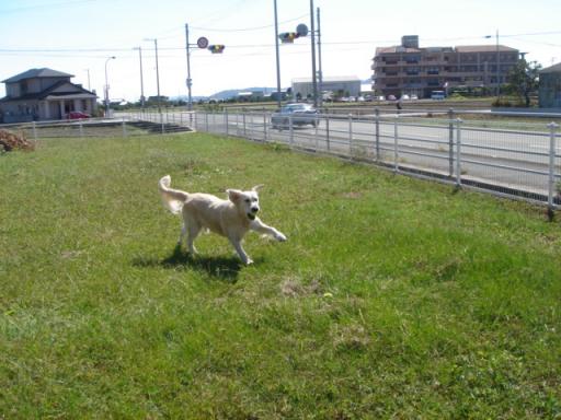 画像2007.10.20 006.jpg