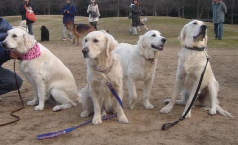 画像2008.1.26 046.jpg