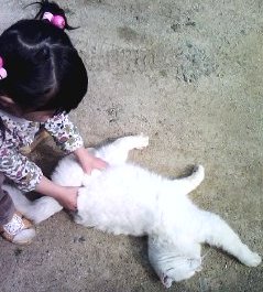 しろちゃん大好き３