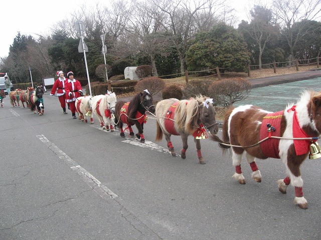 デジカメ20071220 080.jpg