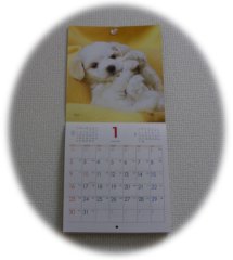 犬のカレンダー