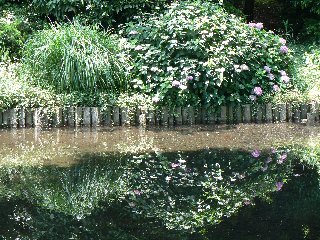 20080601北の丸公園03