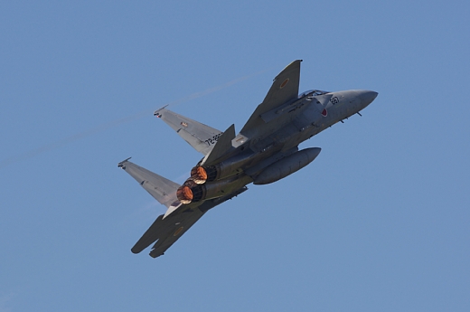 366E9121.jpg