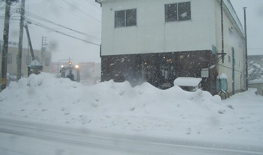 倶知安の大雪