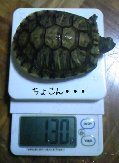 2010-07-06 20:22:57
