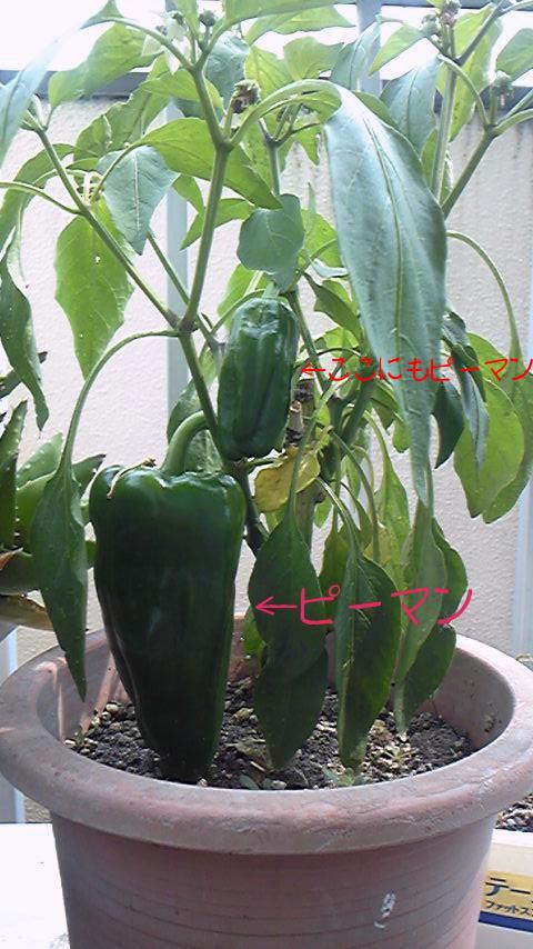 2010-07-01 15:09:51