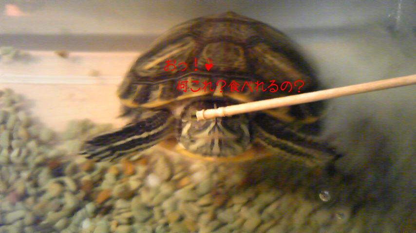 2010-05-11 23:32:44