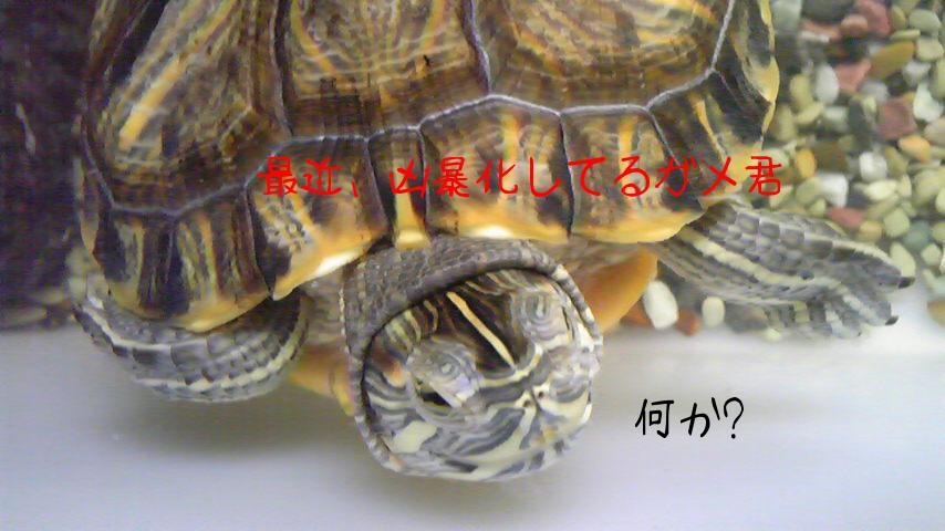 2010-06-18 14:43:00
