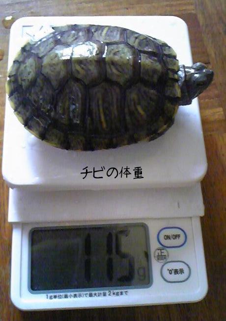 2010-06-22 15:45:43