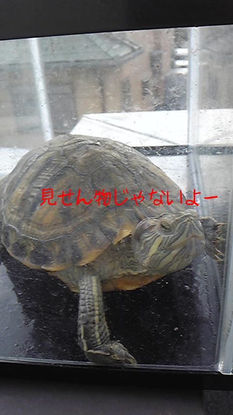 2011-05-13 16:20:59