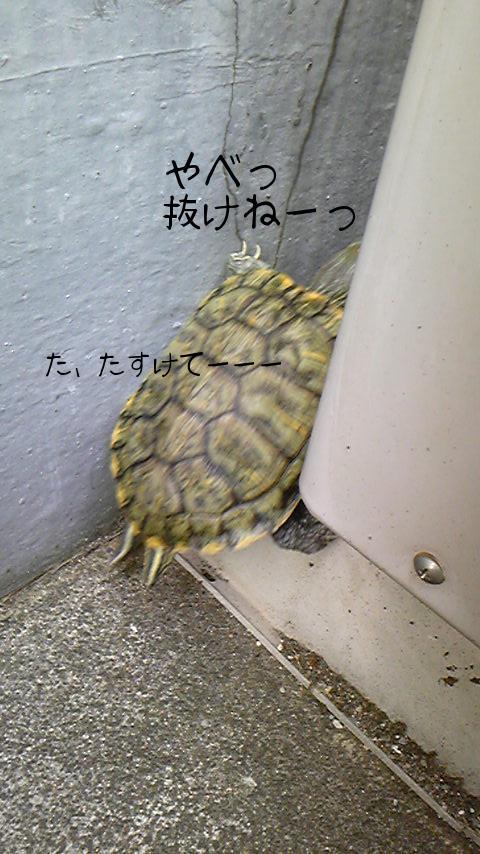 抜けない・・・