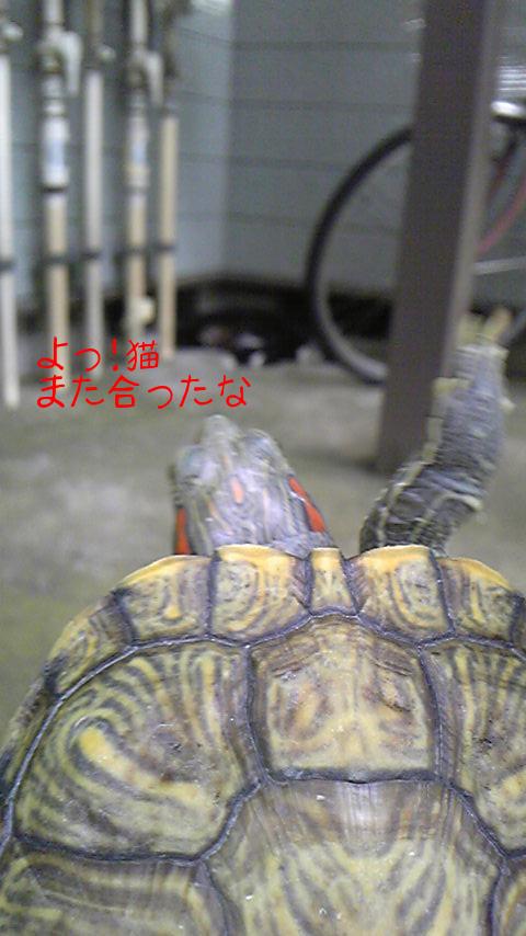 よっ!