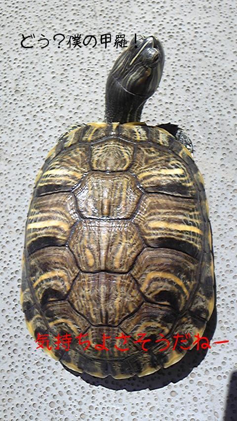 2010-05-15 13:35:08