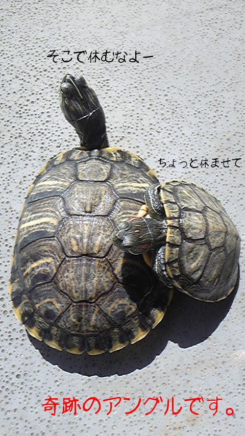 2010-05-08 14:15:44