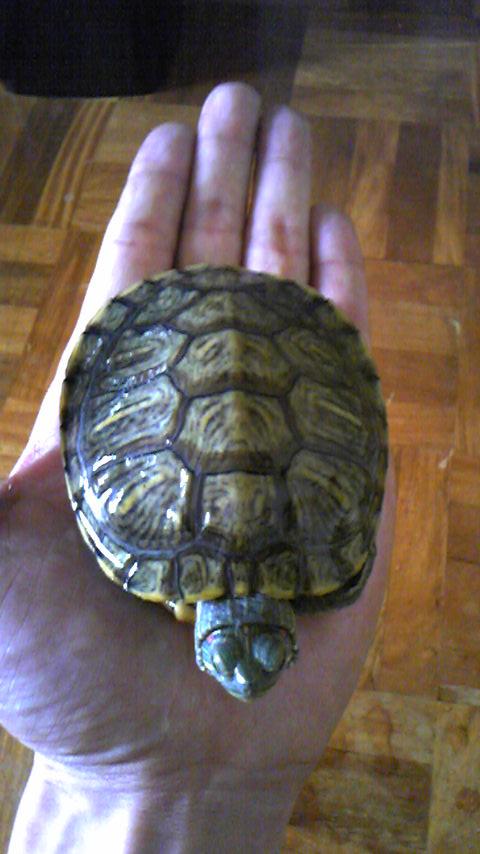 2010-06-29 15:15:32