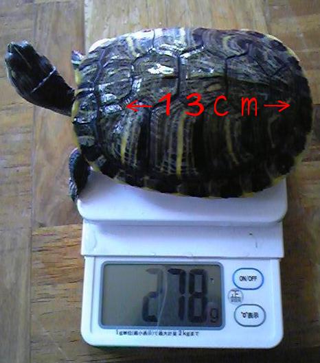 2010-05-12 14:05:26